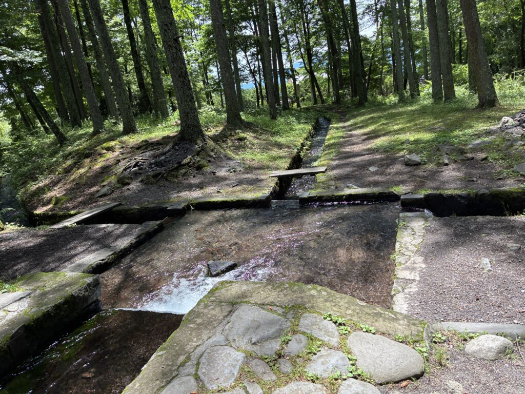 三分一湧水。森の中をきれいな水が流れる静かな散歩スポット