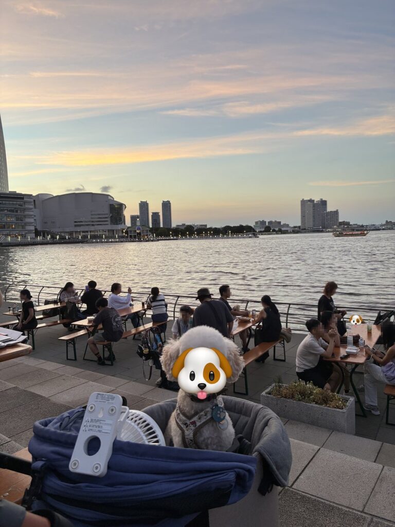 夕暮れの海が見えるベンチ席。手前のペットカートにトイプードルのそらとミニ扇風機