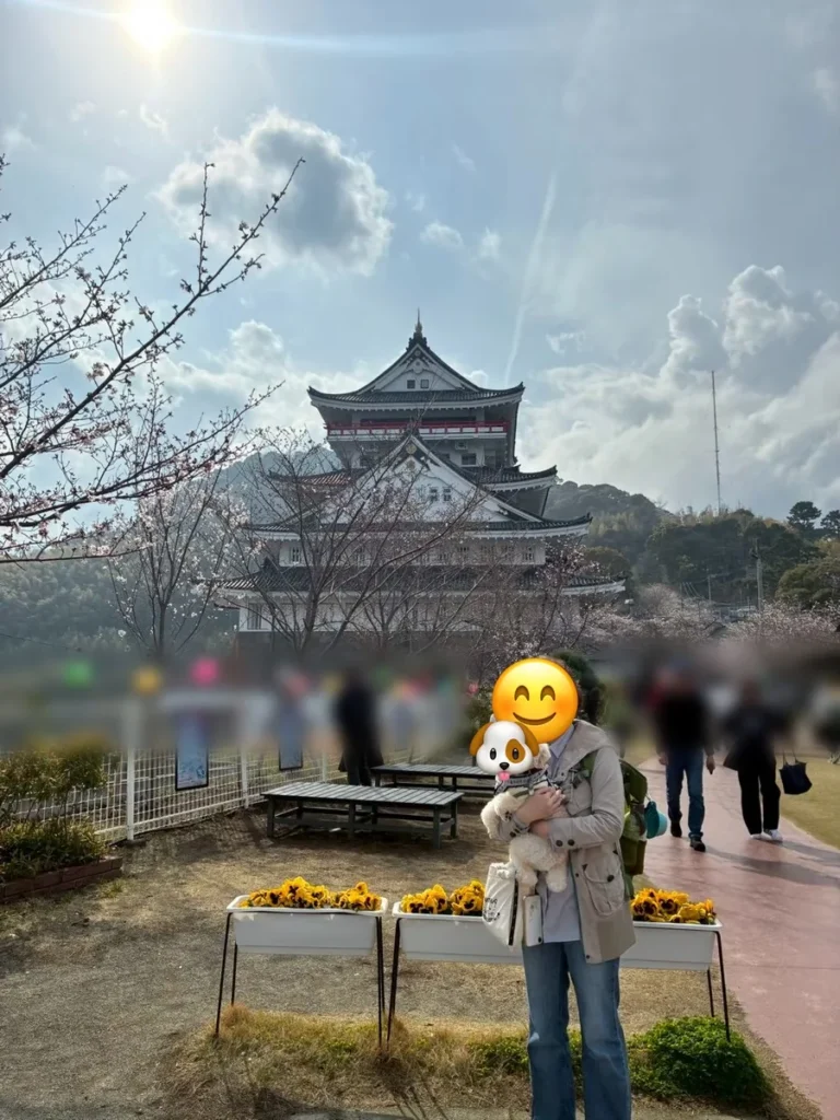 桜が咲く熱海城の前で、白いトイプードルのそらを抱っこするそらさく