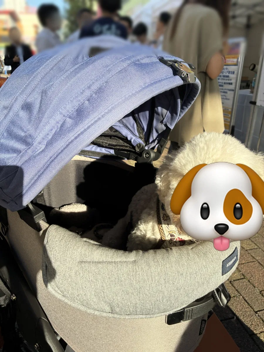 ペットカートのふちに顔をのせて、くつろぐそら