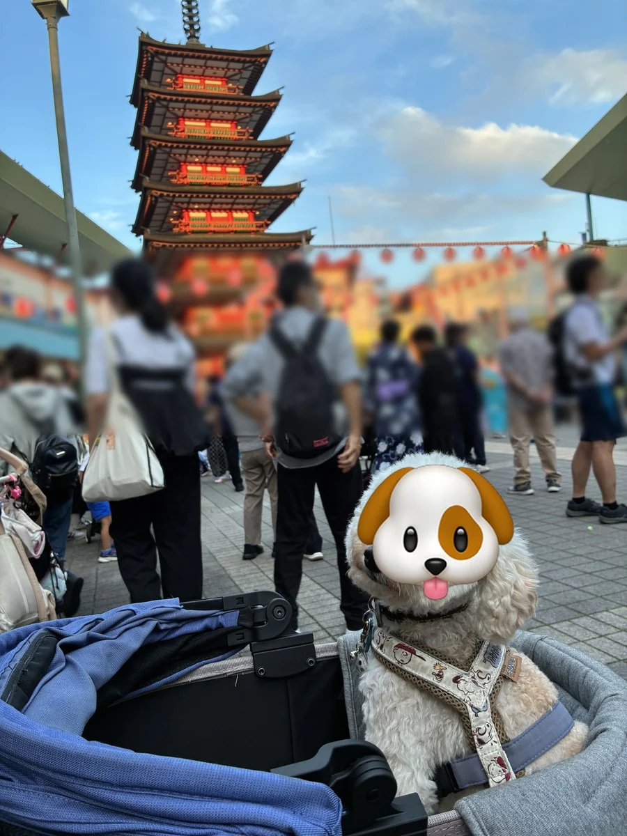 人でにぎわうお祭り会場と、カートから見上げるそら