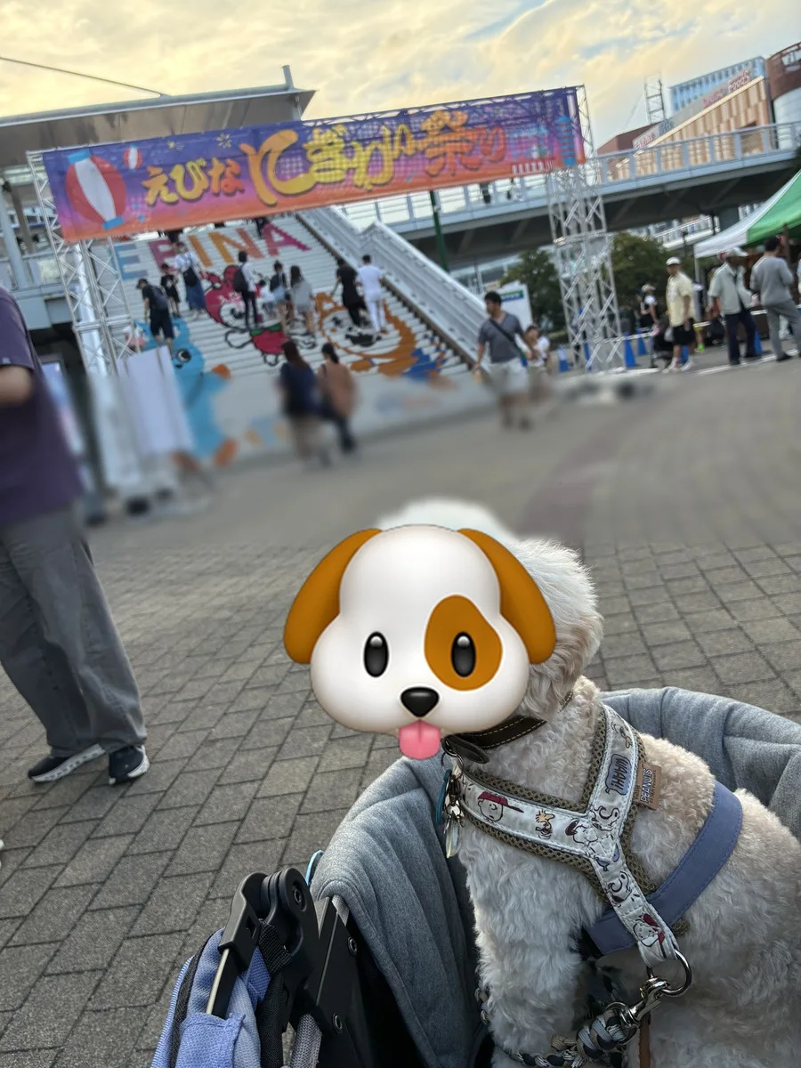 夕方のお祭り会場の入口と、カートに乗ったそら