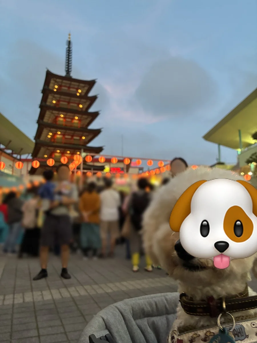 提灯がともる夕方のお祭りと、カートの中のそら