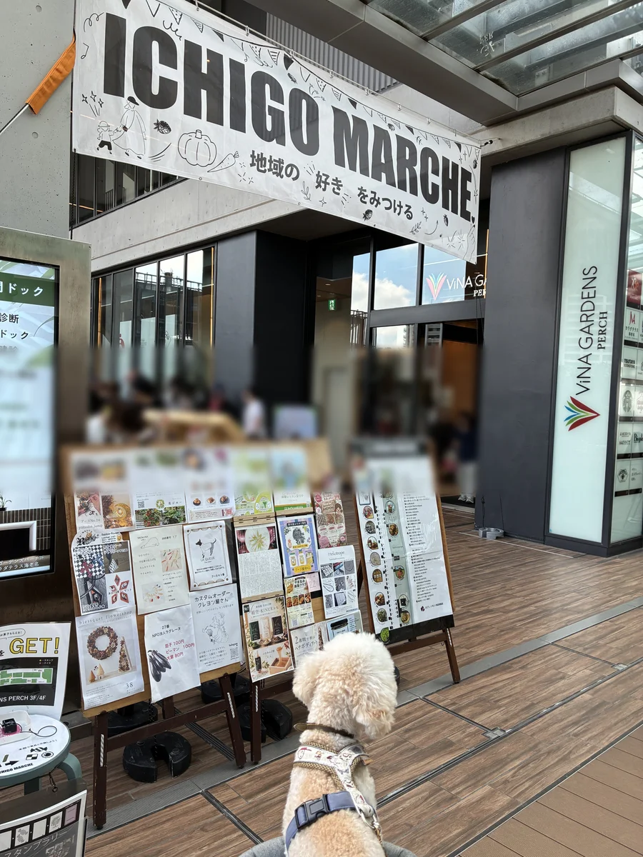 地域のマルシェの看板と、カートから会場を見るそら