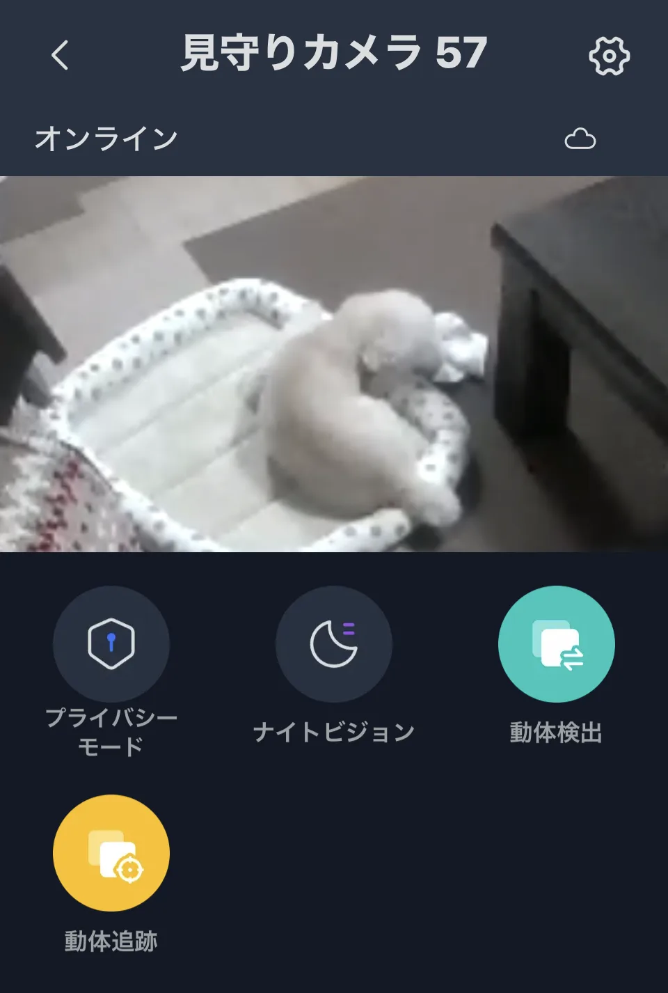 SwitchBotアプリのカメラ画面。ベッドで寝ているそらの映像と、プライバシーモード・ナイトビジョン・動体検出・動体追跡の機能ボタン